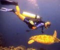Diving - Redang Beach Resort Redang Island