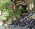 Bicycle Rental - Desaru Holiday Chalet