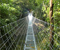 Suspension-Bridge - Jerejak Rainforest Resort