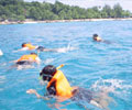Snorkeling - New Cocohut Chalets  & Cozy Chalets Perhentian Island