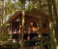 Cabin - Permai Rainforest Resort Sarawak