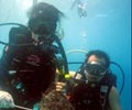 Diving - Pompong Island Resort