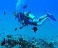 Diving - Redang Reef Resort Redang Island