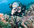 Diving - Seaventures Dive Resort