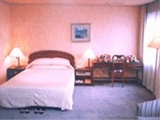 Prince Hotel Daegu Room