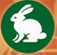 Rabbit Resort Pattaya Logo