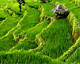 Lombok Tour