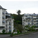 Desa Anthurium Apartments Cameron Highlands