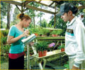 Botanical Garden  - Colmar Tropicale Resort Bukit Tinggi