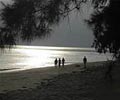 Beach - Dreamz Tinggi Resort