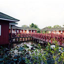 FireFly Park Resort Kuala Selangor