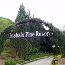 Kinabalu Pine Resort