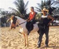Horse Riding - Pantai Cahaya Bulan Resort