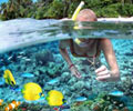 Snorkeling - Tuna Bay Island Resort Perhentian Island