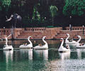 Sunway-Petting-Zoo - Sunway Resort Hotel & Spa