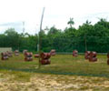 PaintBall - Suria Cherating Beach Resort