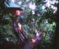 Hilllodge - Tabin Wildlife Resort