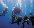 Diving - Tenggol Coral Beach Resort