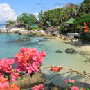 Minang Cove Resort Tioman Island