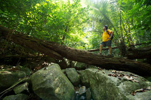 Tunamaya Beach & Spa Resort Tioman