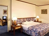 Regency Park Hotel Room
