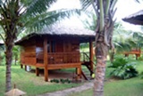 Coco Beach Resort Bungalow