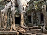 Ta Prohm