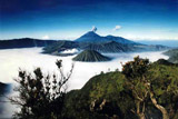 bromo tour