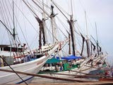 Sunda Kelapa Old Harbour