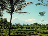 borobudur tour