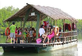 Kota Kinabalu Mangrove River Cruise 