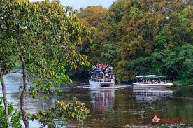 Klias wetland River Cruise Tour