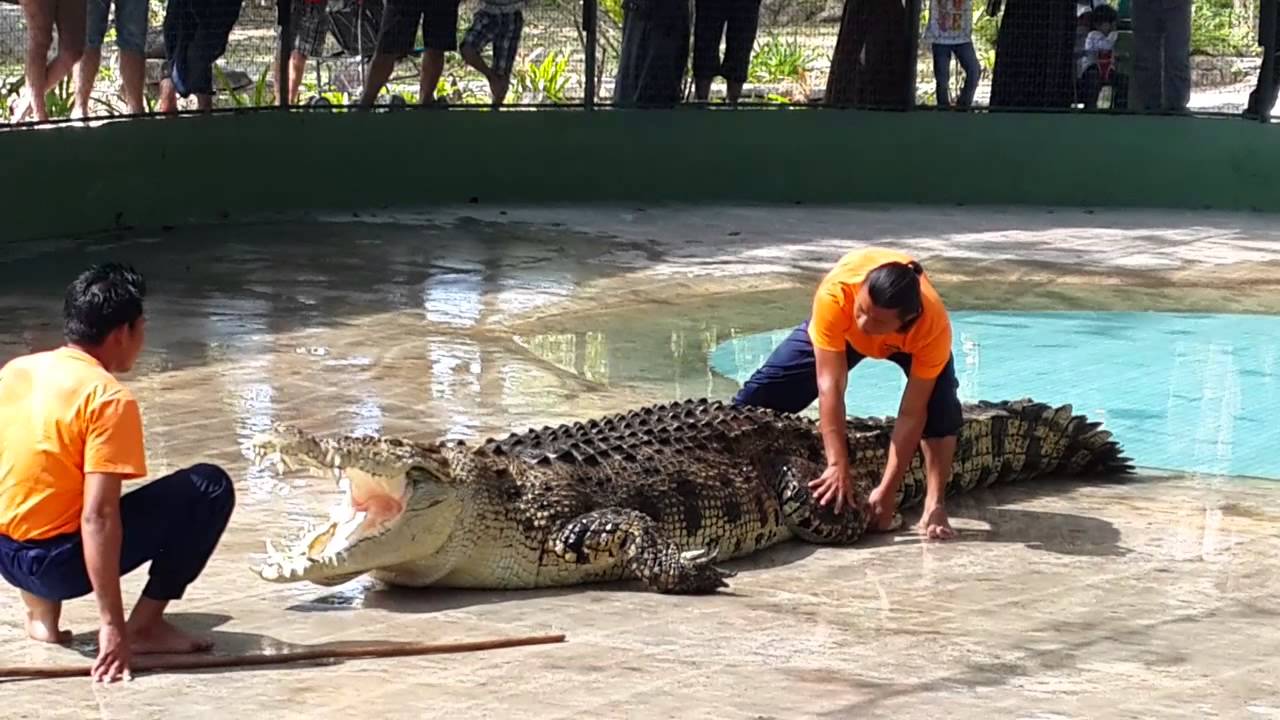 langkawi tour