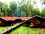 Abai Jungle Lodge