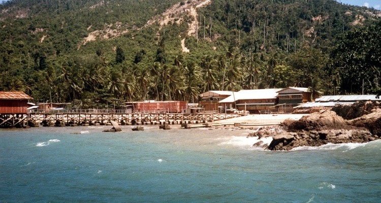 bidong island