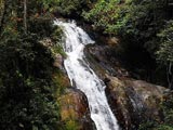 cameron highlands tour