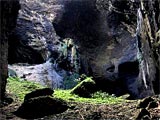 Gomantong Cave