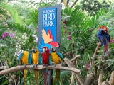 Jurong Bird Park