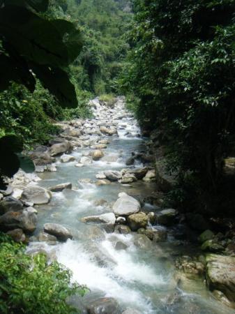 Kinabalu 