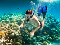 langkawi payar island tour