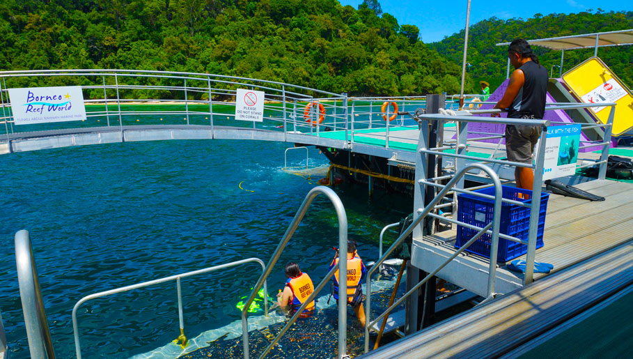 marine park pontoon kota kinabalu