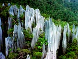 Mulu Limestone Pinnacles