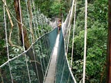 Canopy Walkway