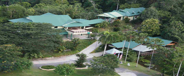 sandakan rainforest