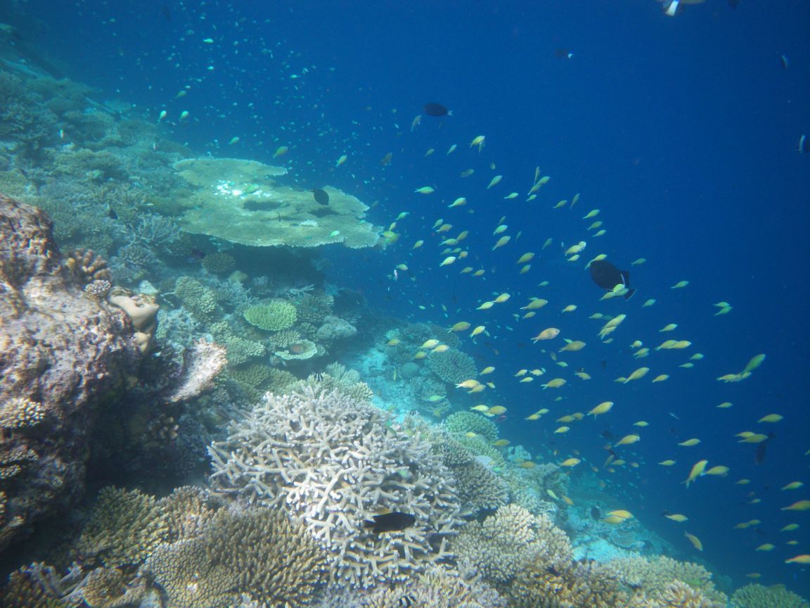 2 Days / 1 Nights The Mantanani Island, Sabah, Malaysia.