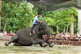 sunway lagoon tour