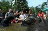 sunway lagoon day tour