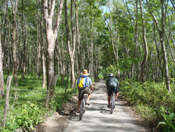 langkawi cycling tour