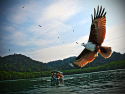langkawi tour