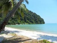 penang monkey beach